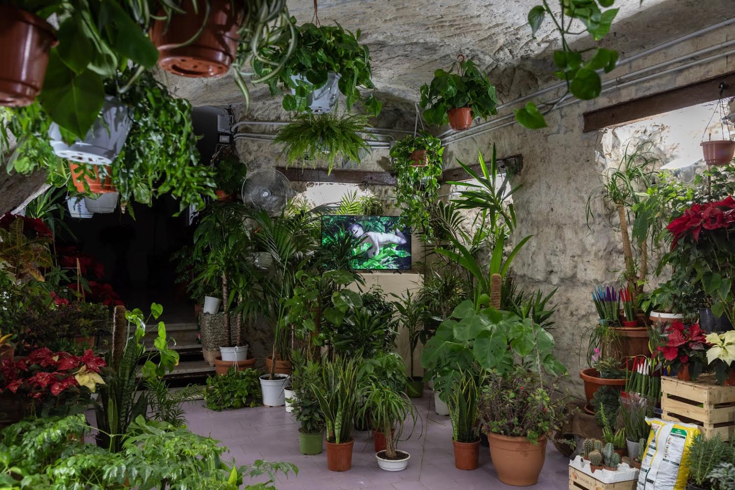 Gallerie, spazi e progetti artistici a Napoli