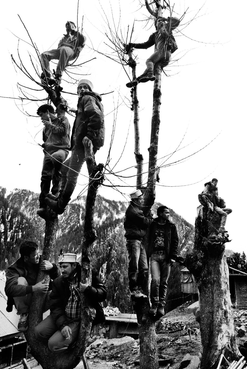 Sekelompok laki-laki memanjat batang pohon yang tidak berdaun