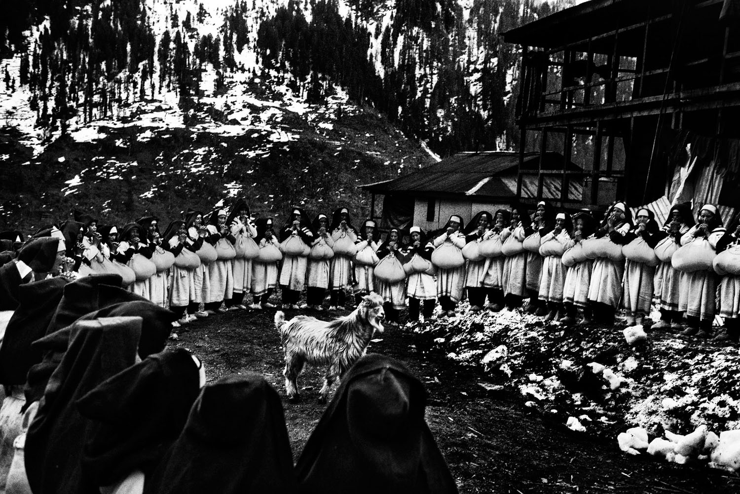 Penduduk desa Malana berdiri membentuk lingkaran. Ada domba di tengah mereka.