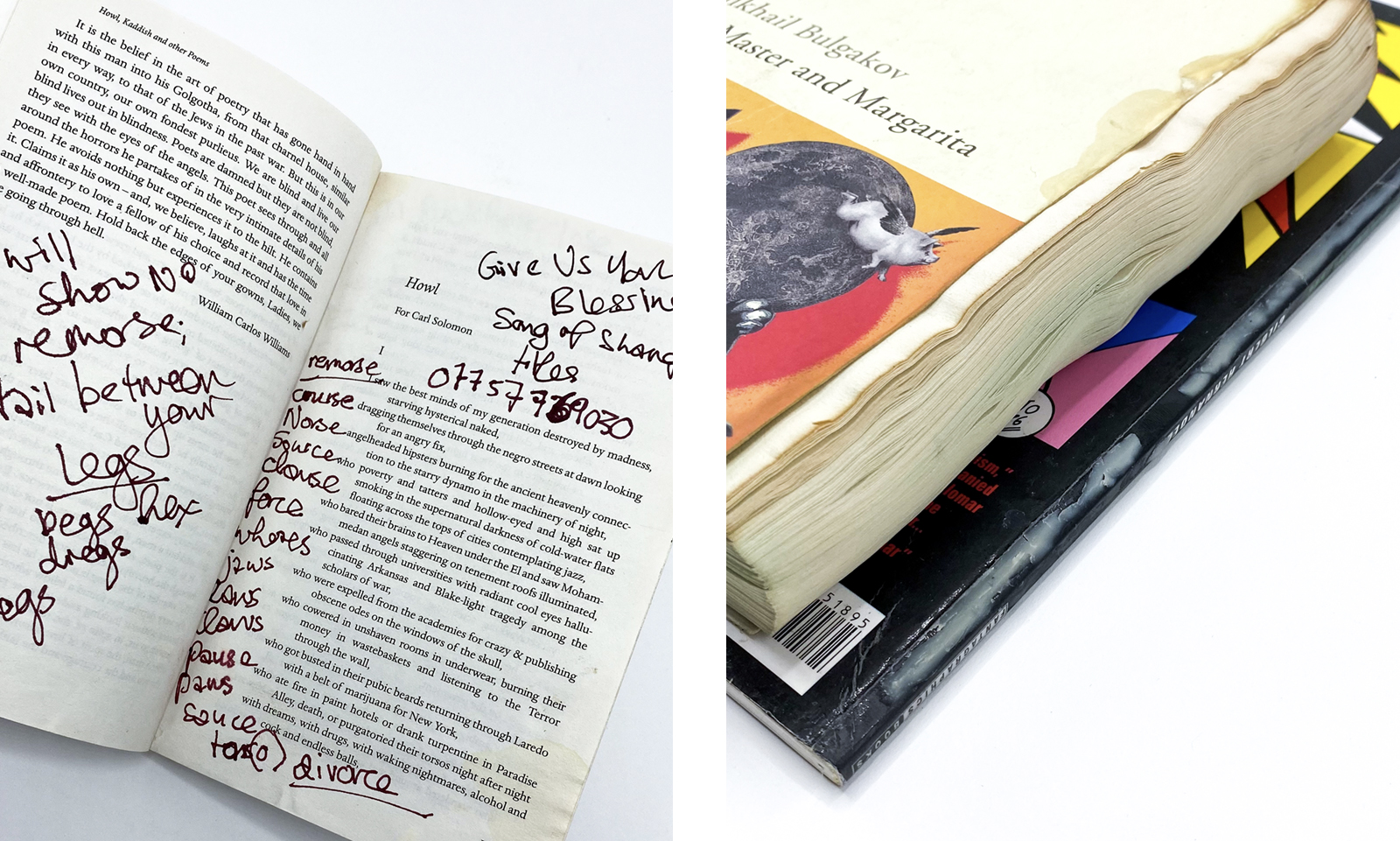 Detail of Winehouse's books
