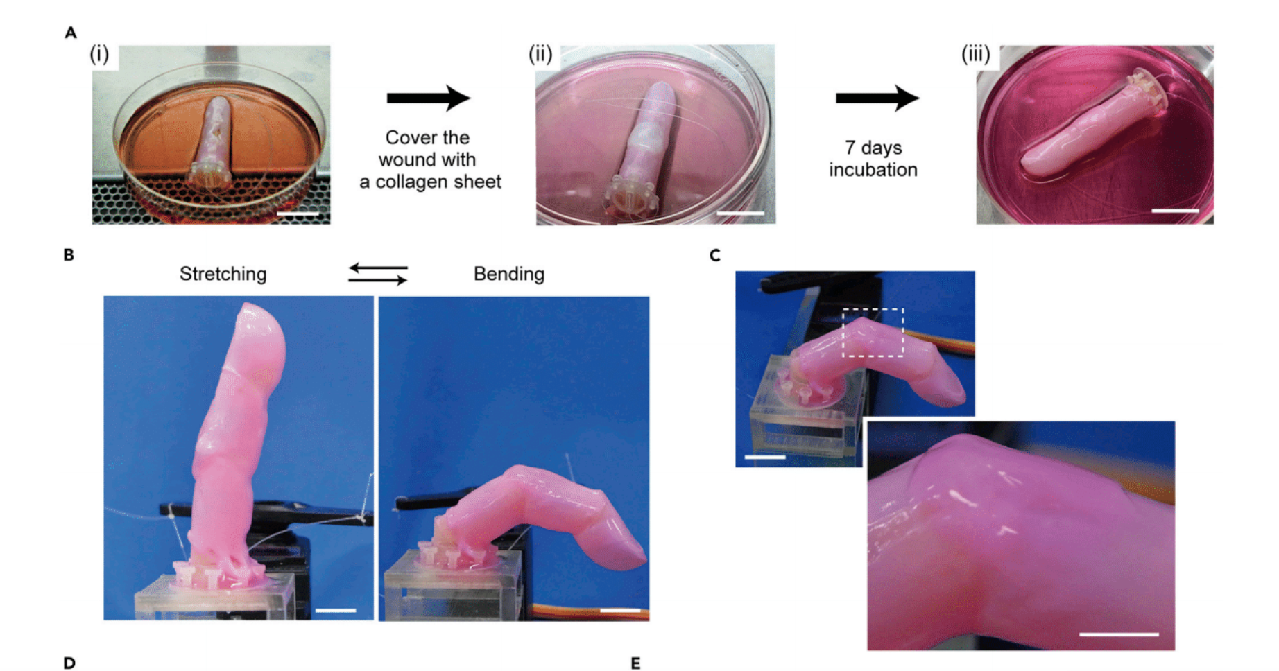 Self-healing robot skin