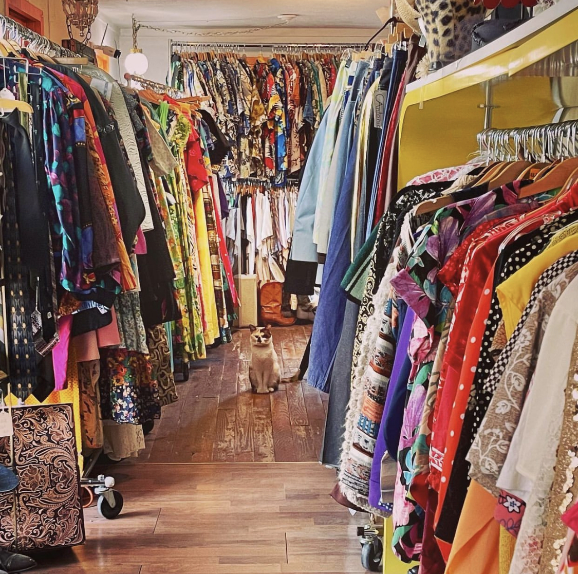 A photo of a vintage boutigue, full of racks with colorful clothes and a cat sitting on the wooden floor.