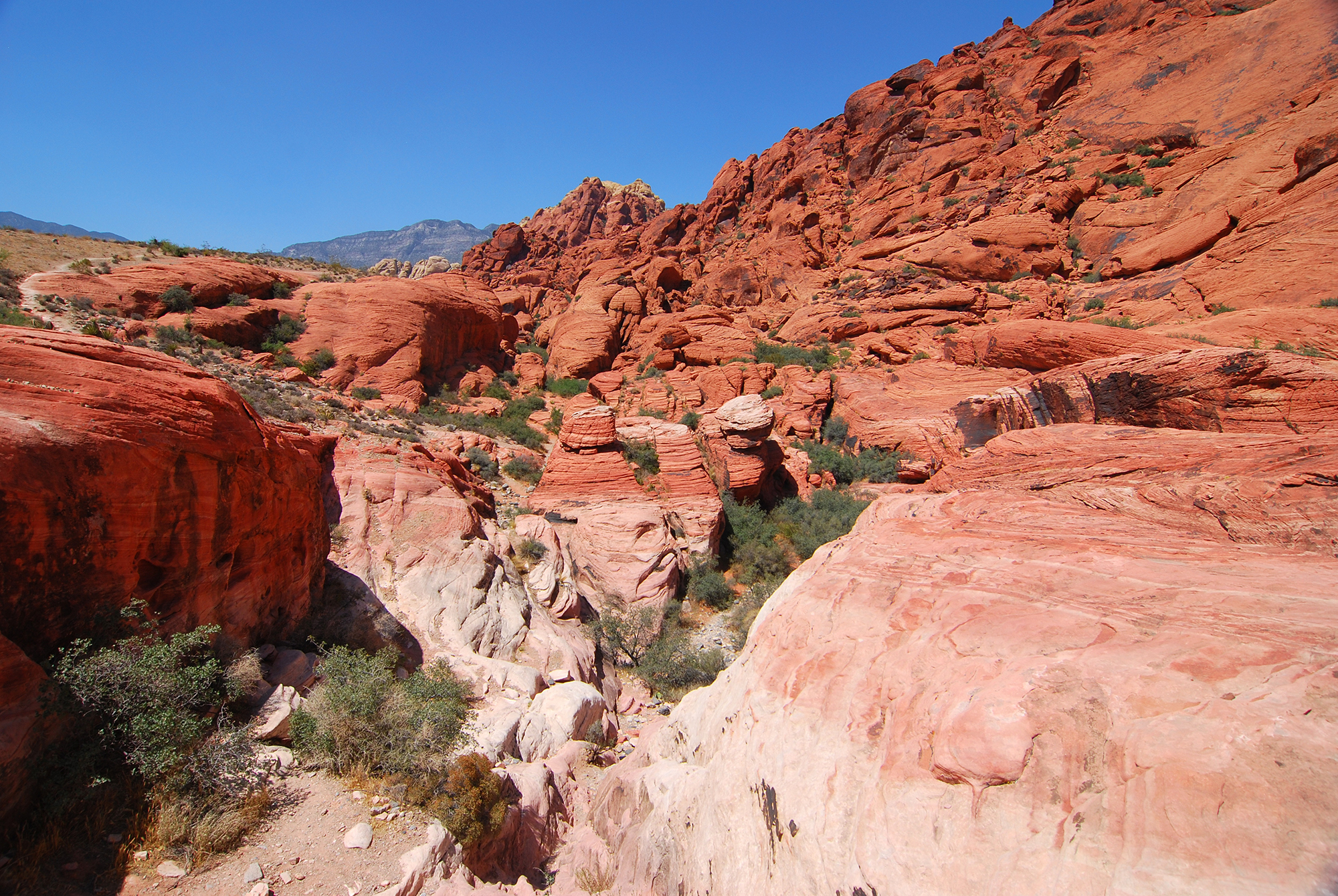 Photo of Red Rock Canyon under a bright blue sky