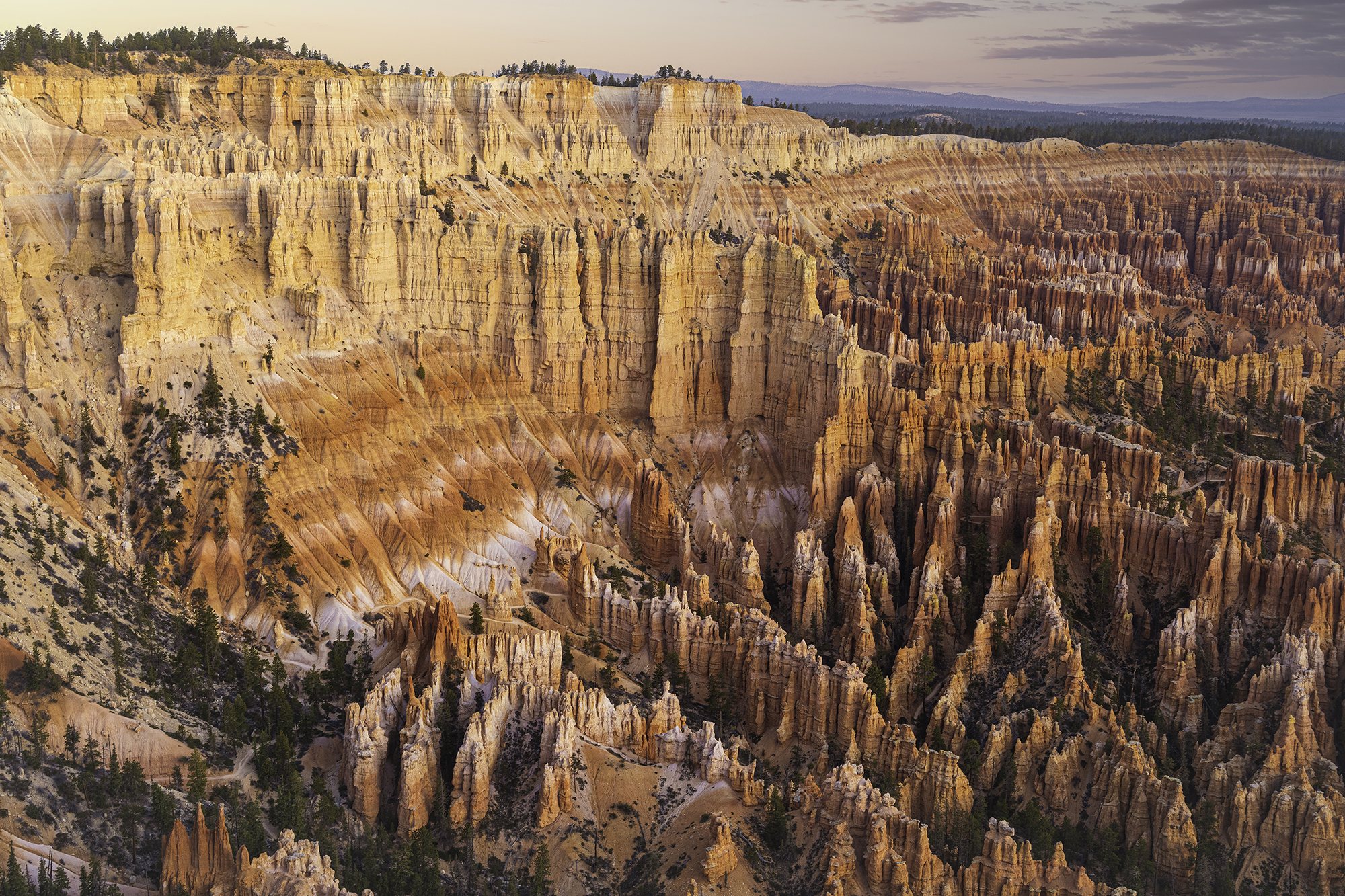 View of sprawling peaks of Bryce Canyon, covered with trees and colorful orange and white striations