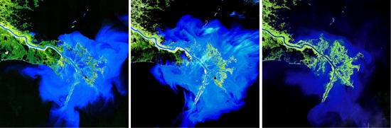 delta mississippi 30 anni landsat