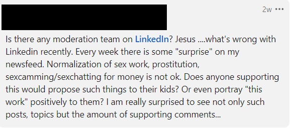 A comment on Arielle Egozi's LinkedIn post updating their profile with sex work. 