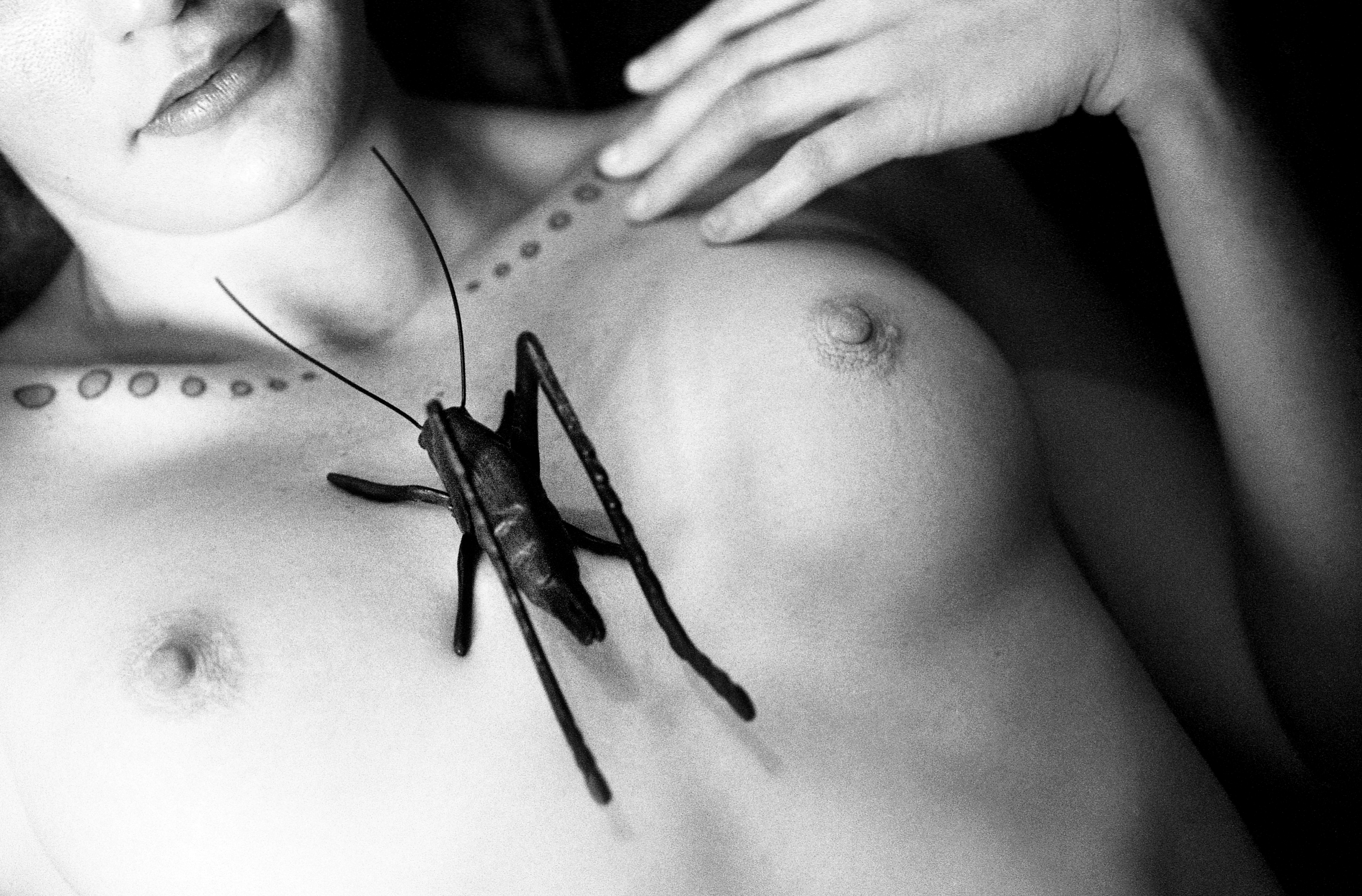 a nude woman's chest with a large insect between the breasts 