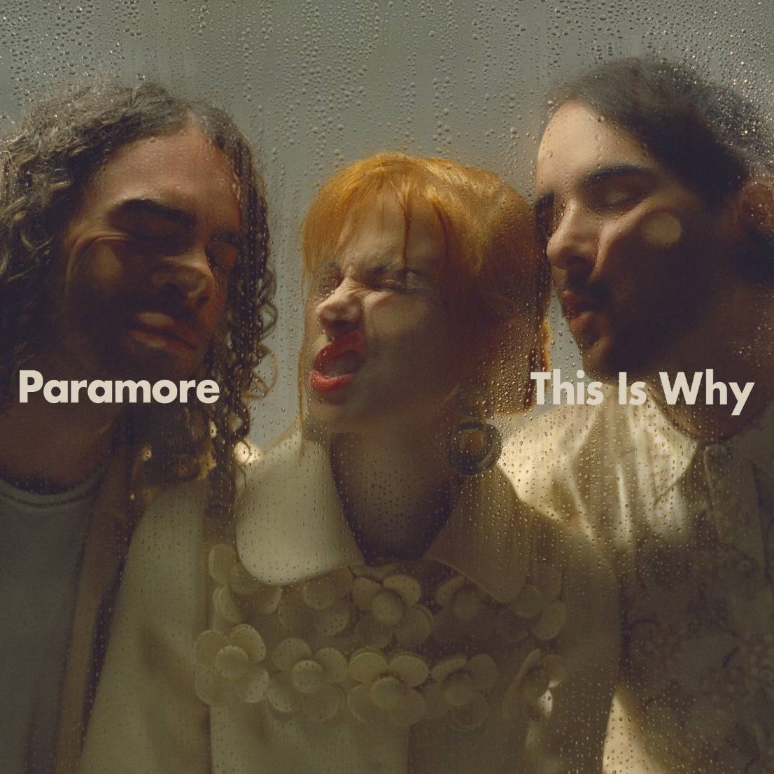 paramore this is why album artwork