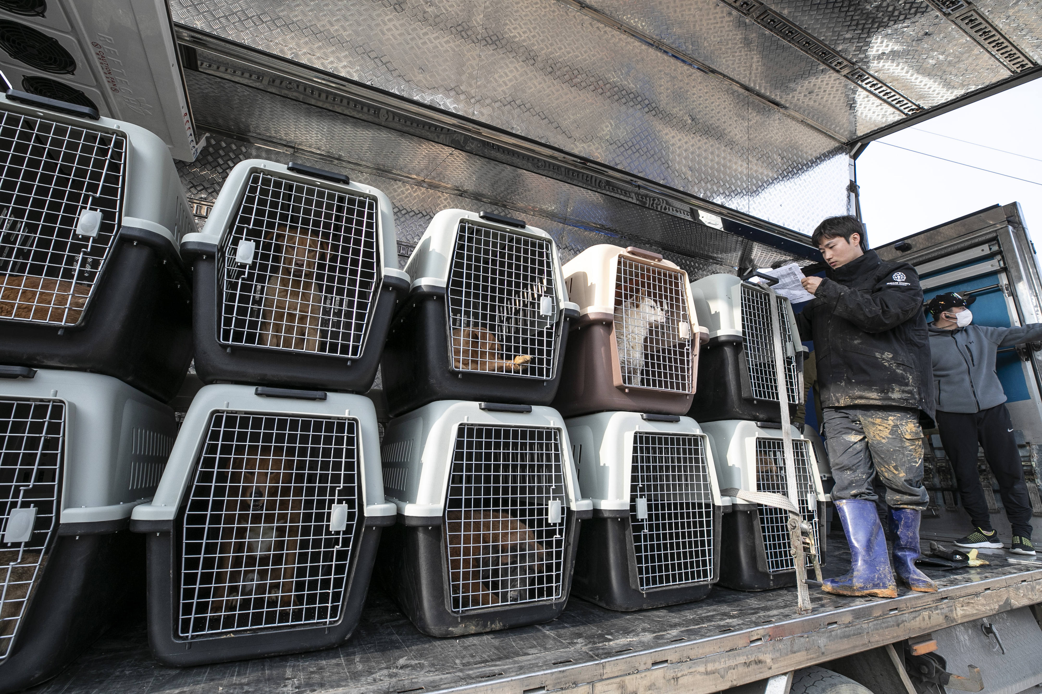 Lee Sang-kyung membaca daftar anjing-anjing yang diselamatkan. Foto oleh Jean Chung, disediakan HSI.