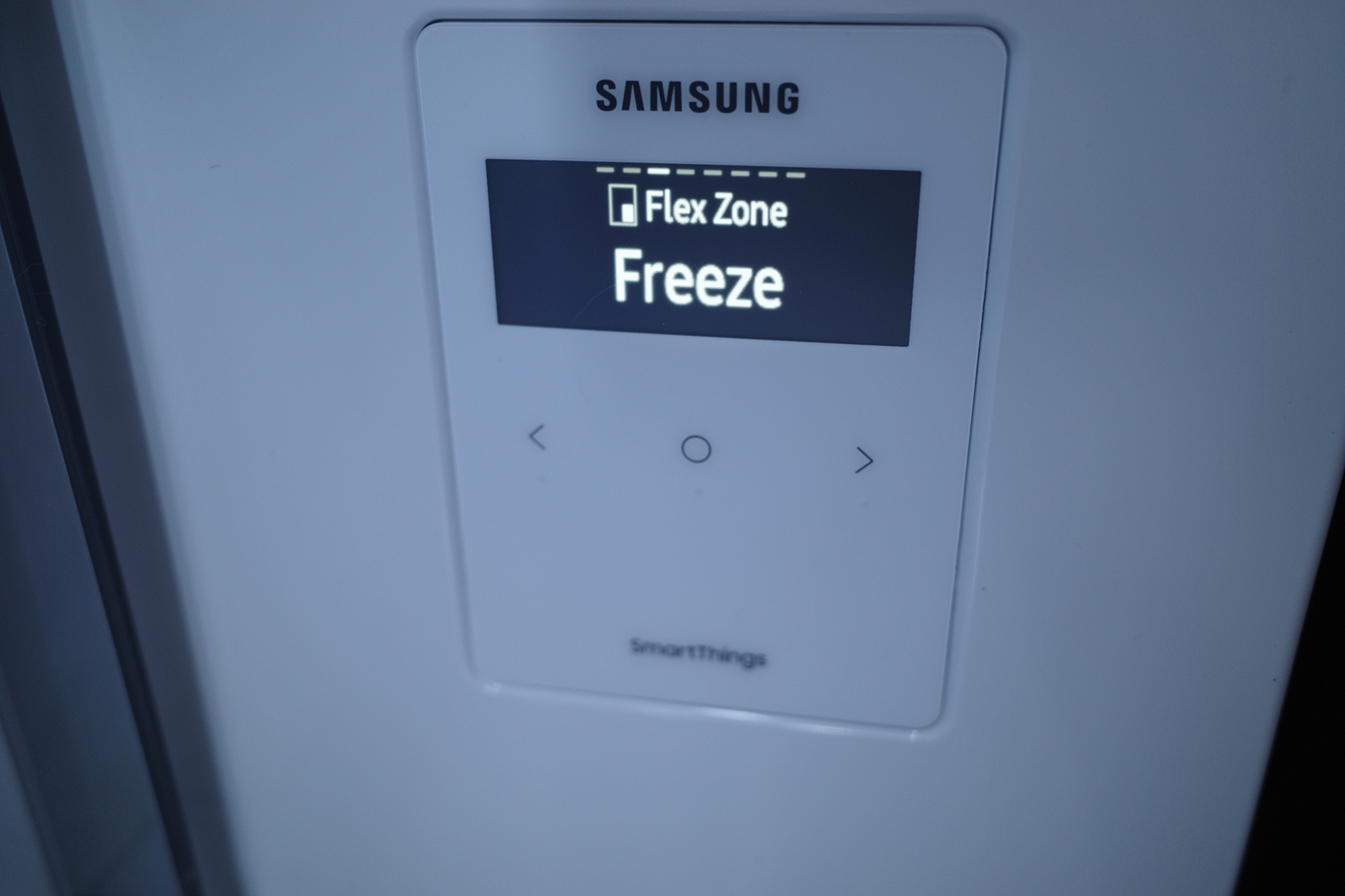 An Honest Review of Samsung’s Bespoke 4Door Flex Fridge VICE
