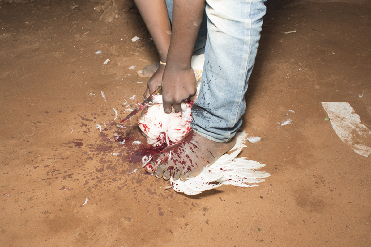 Giya Makondo-Wills, “They Came From The Water While The World Watched” – person holding chicken with its head cut off under their bare feet, as well as a knife in their hands. Their feet and the ground is covered in blood splutters
