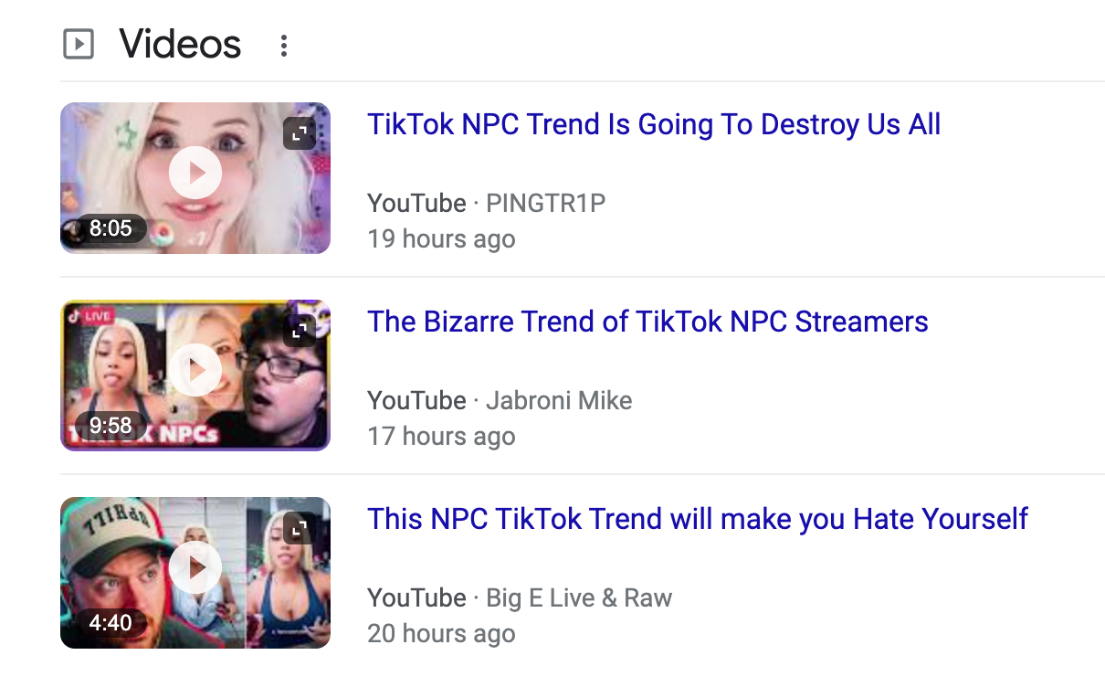 wife npc streamer｜TikTok Search