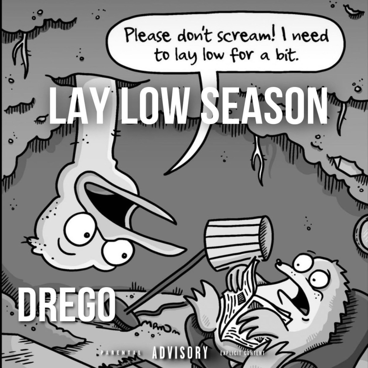 Drego Lay Low Season album artwork