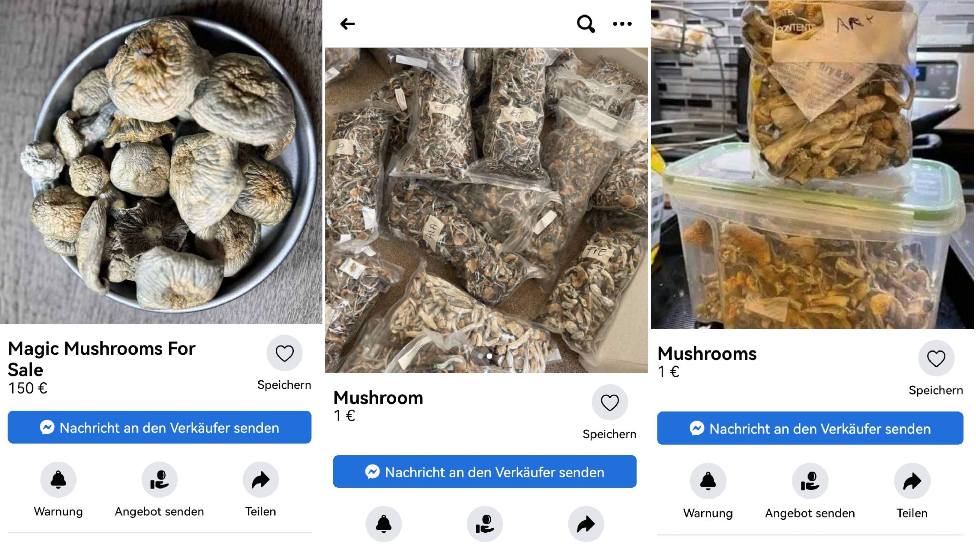 Mushrooms.jpg
