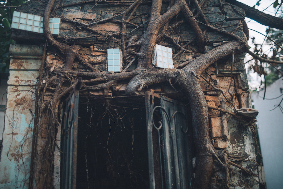 Bangunan makam yang dililiti akar pohon