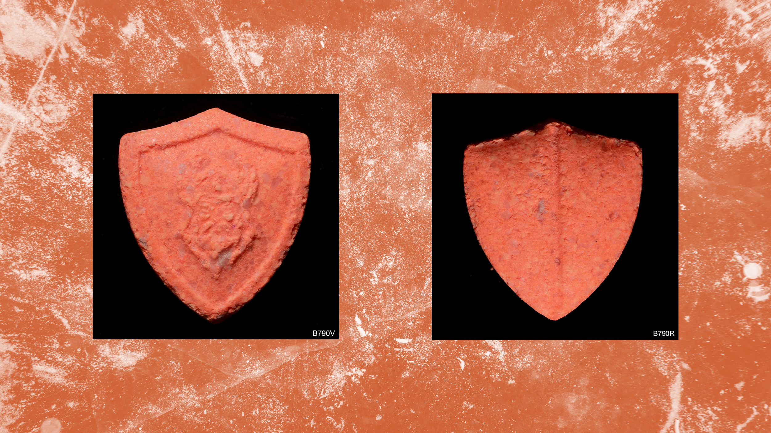 Eine orange Pille mit Wikinger-Logo auf orangem Hintergrund