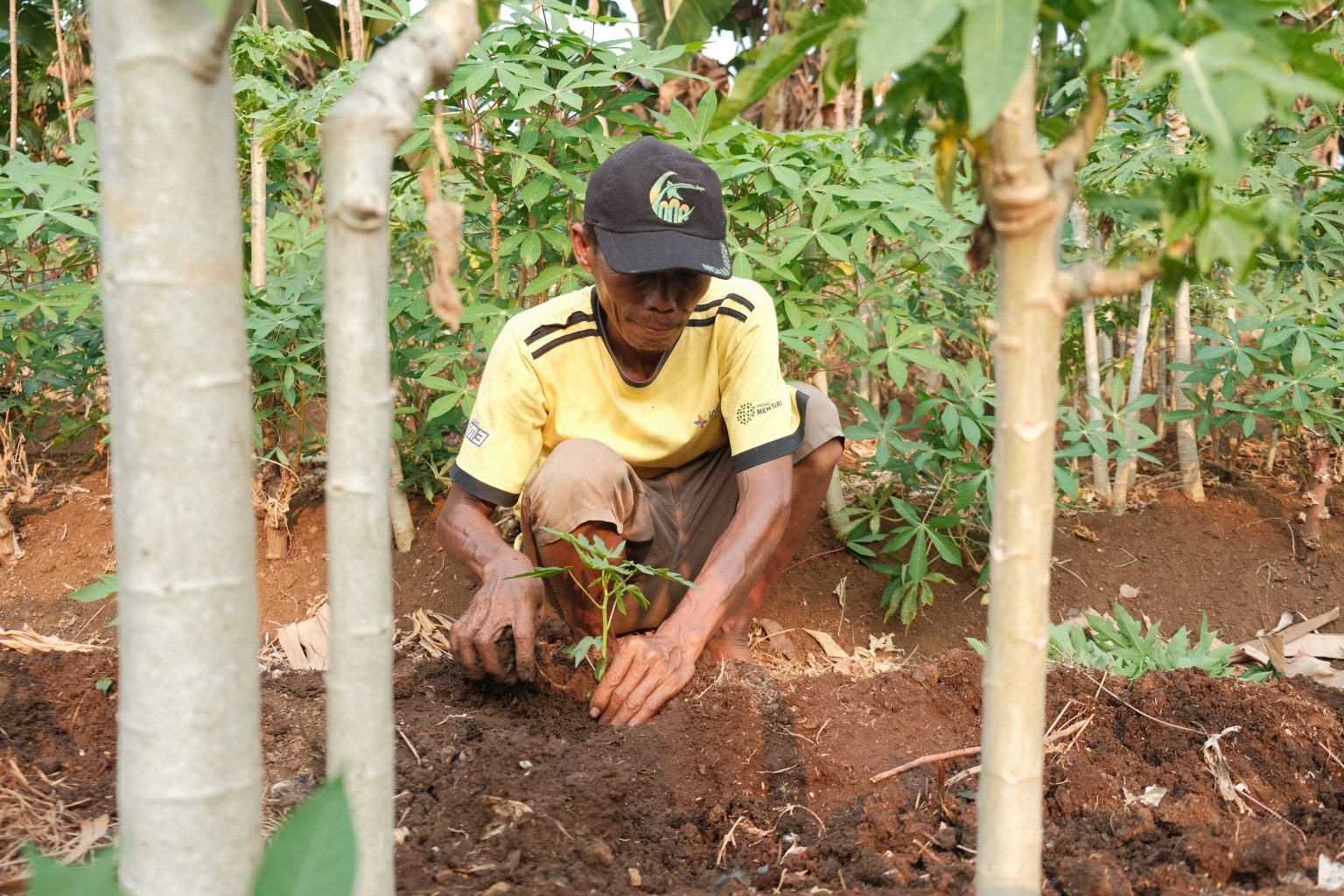 Yayasan Kota Kita Memotret Inisiatif Pertanian kota di tengah Keterbatasan Lahan 