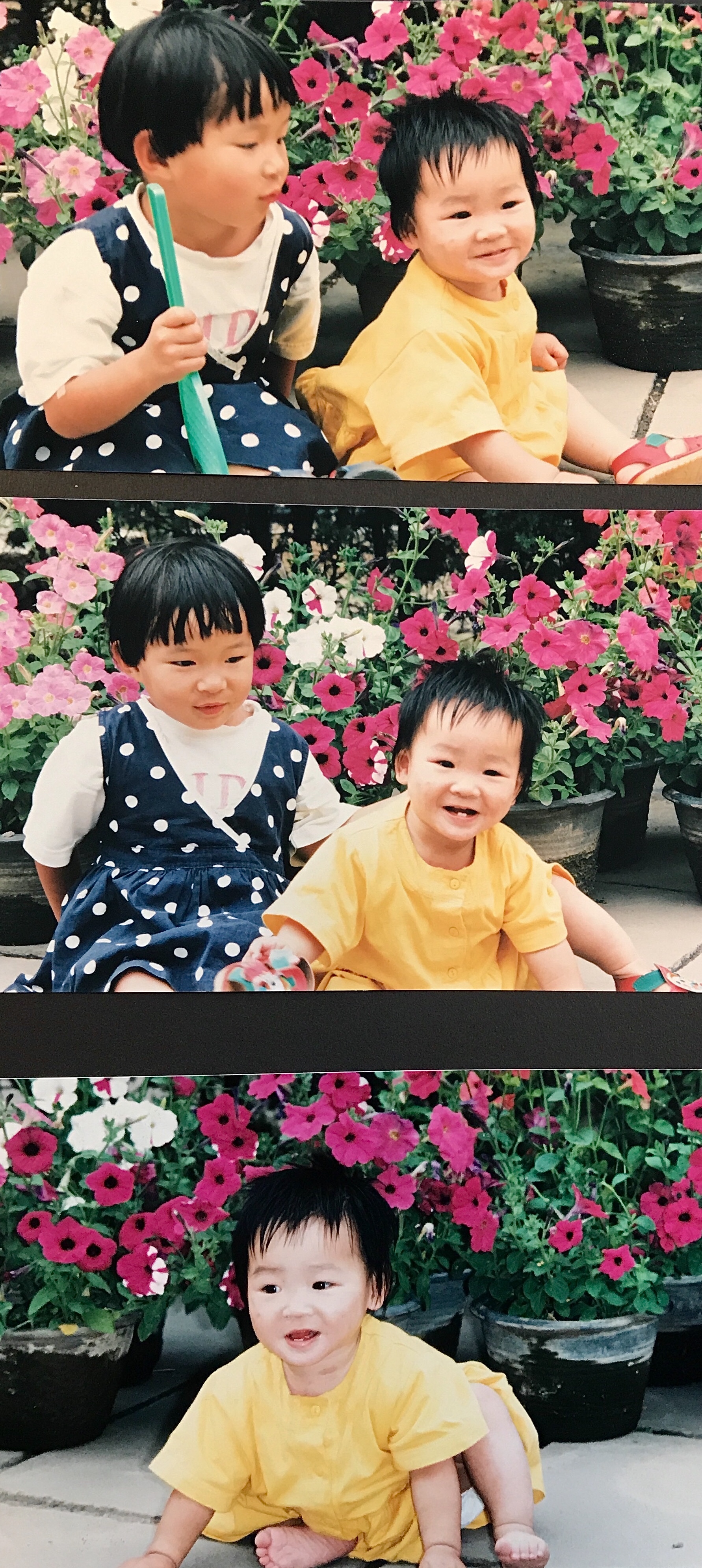 Xiangxia van den Ham, Dumpling Stories – three photos of two little kids in front of fuscia flower pots. Xiangxia's sister (left) is wearing a blue and white polka dot dress. Xiangxia a yellow t-shirt.