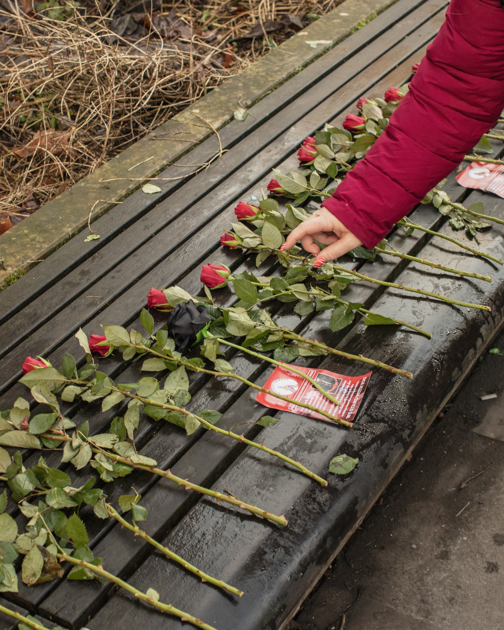 Manchester, UK: A hand places roses symbolising an XL Bully on bench