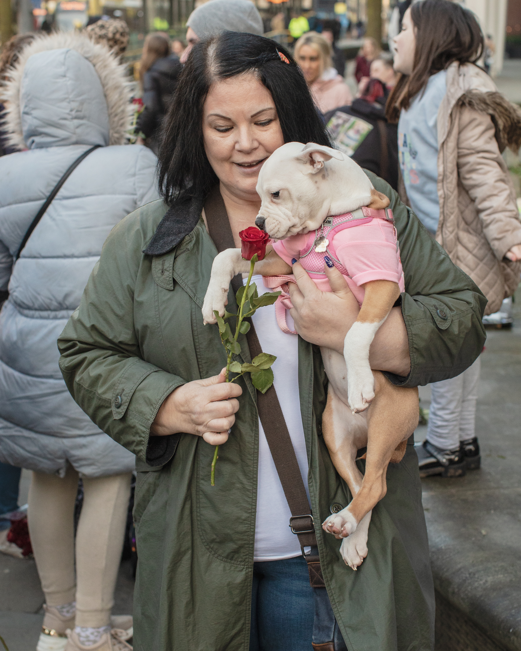 Manchester, UK: A woman holds an XL Bully puppy who sniffs a rose