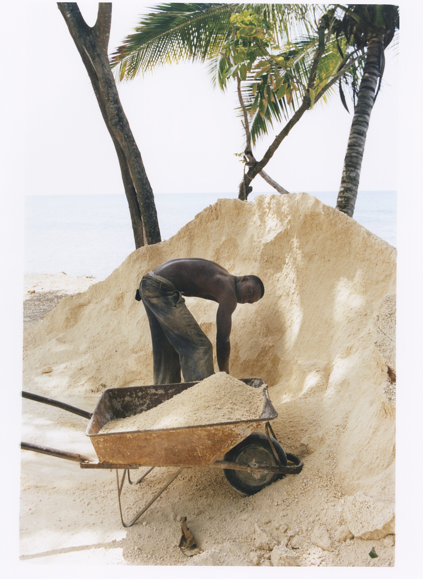 A man digs sand from a beach and fills a wheelbarrow for cement mixing.