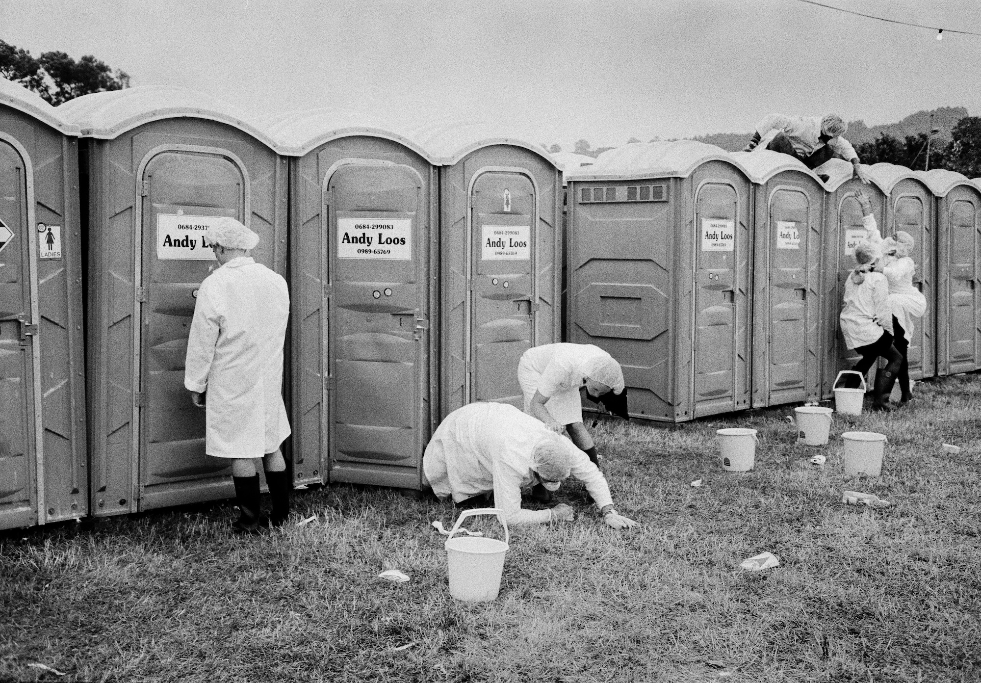 A group of cleaners closely inspect portaloos in a field.