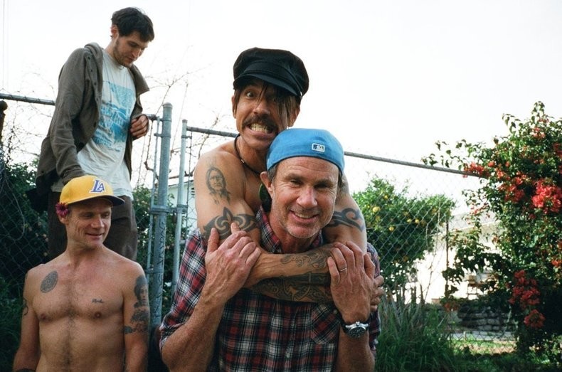 Red hot chili peppers носок