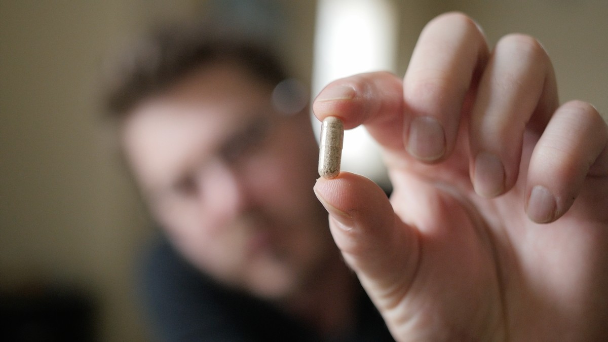 The Citizen Scientists Using Mushrooms to Cure Their Cluster Headaches ...