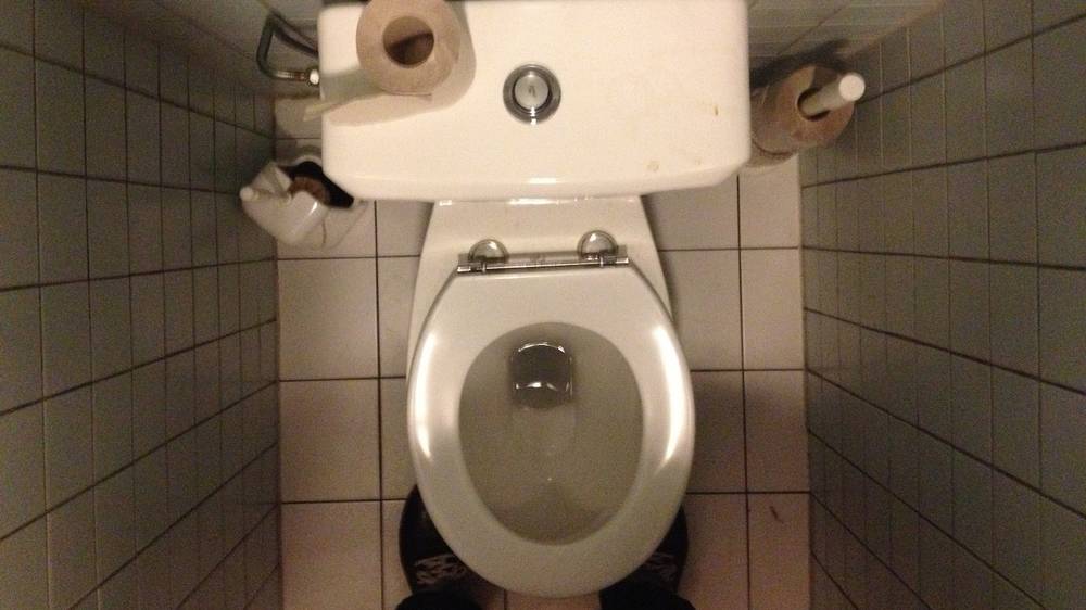 It's Totally OK to Sit on Public Toilet Seats