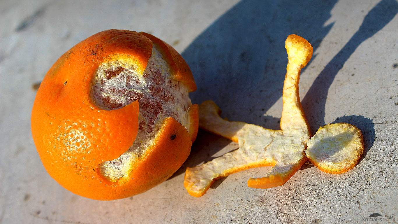 Кожура мандаринов апельсинов. Кожура апельсина. Гнилой апельсин. Корка апельсина. Кожура цитрусовых плодов.