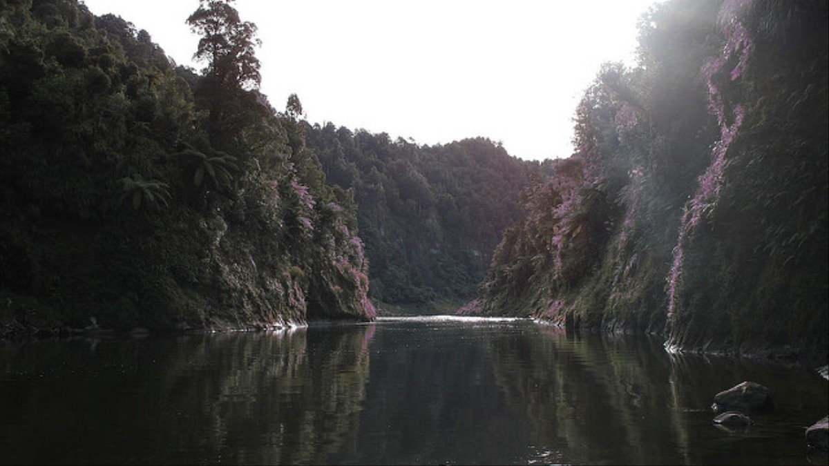 New Zealands Whanganui River Has Just Been Granted Legal Status As A