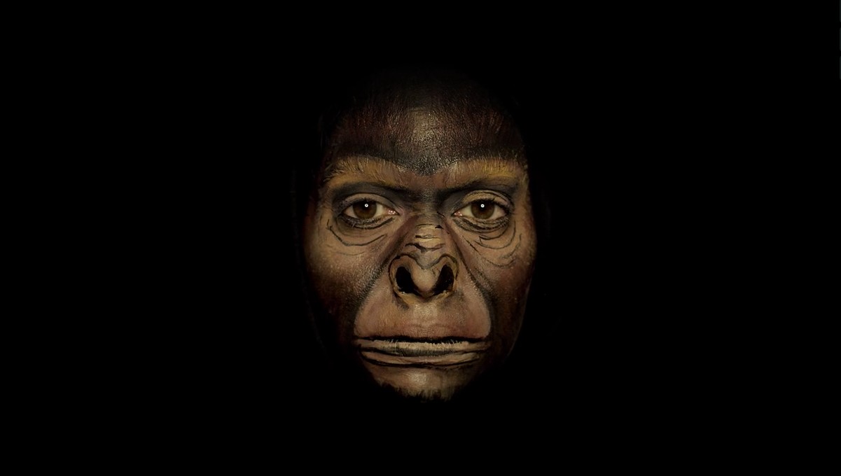 Watch Millions of Years of Human Evolution Unfold on This Artist's Face