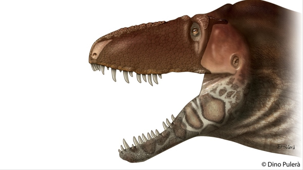 Tyrannosaur Snouts May Have Been More Sensitive Than Human Fingertips