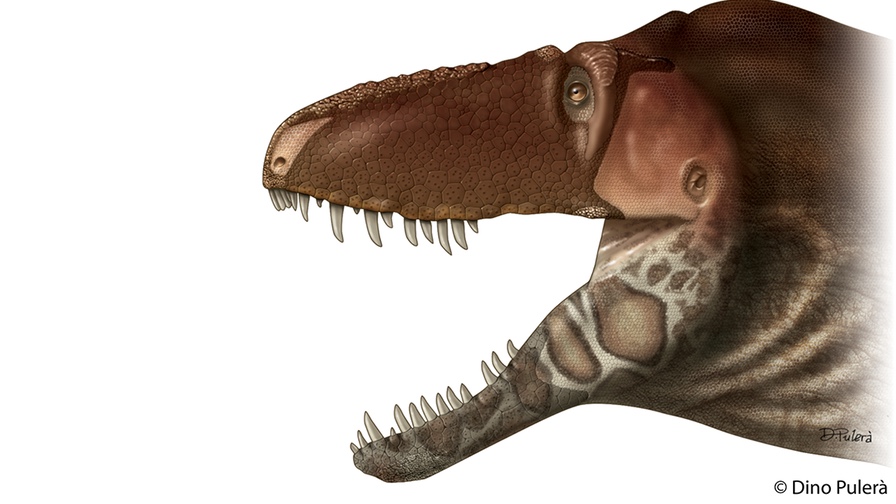 t rex nose