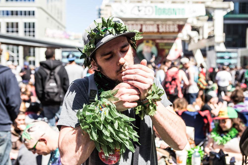 What Percent Of Canadians Smoke Weed