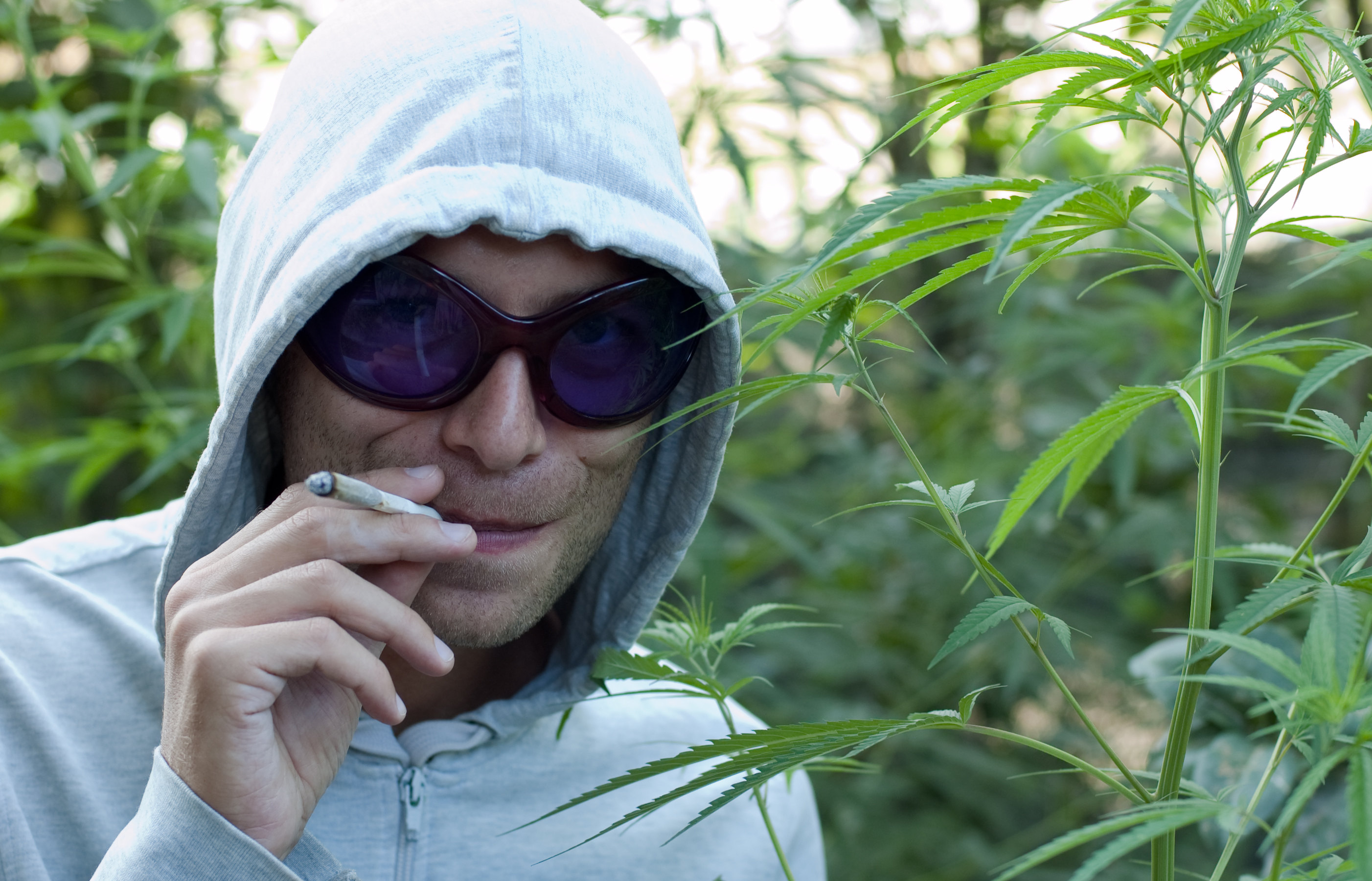 Ranking the Synonyms for Weed From Best to Worst