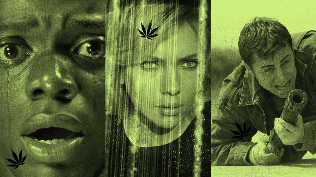 The Best Stoner Films 10 MustWatch Weed Movies