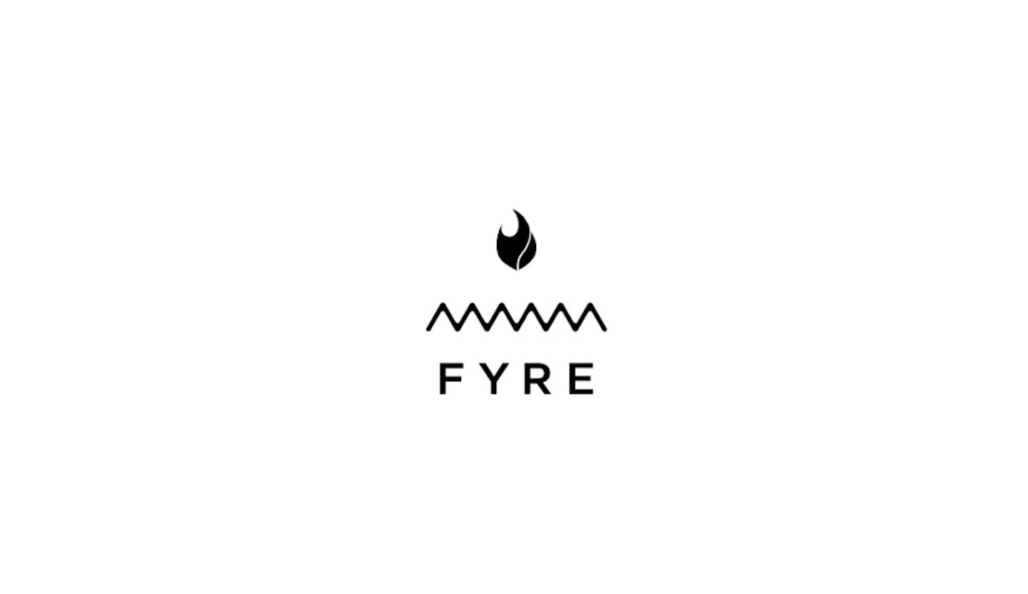 We Asked Actual Business People to Tear Fyre Festival's Leaked Pitch Deck  Apart