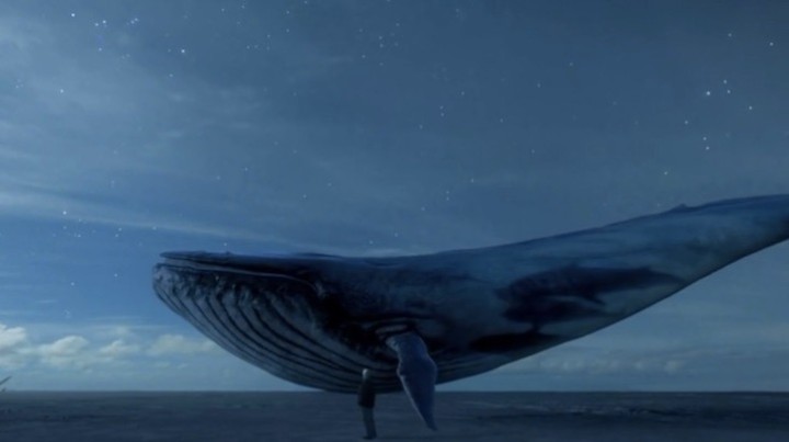 Che cosa sappiamo di 'Blue Whale', il gioco degli "adolescenti suicidi"
