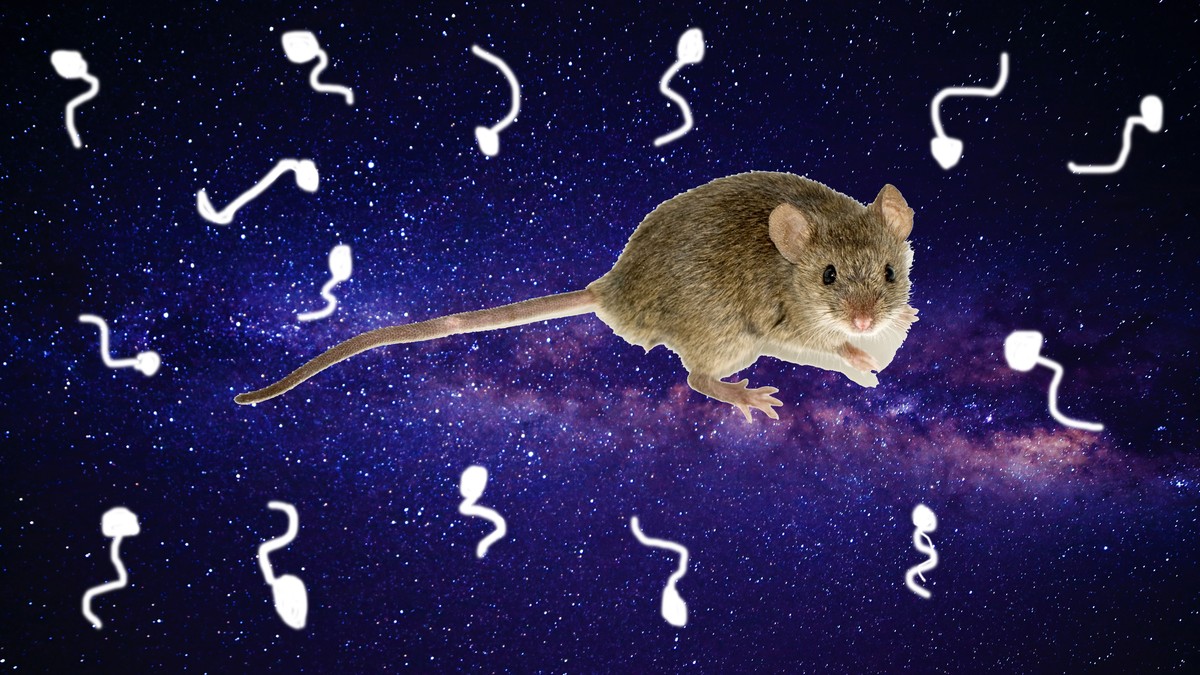 FreezeDried Space Jizz Could Save Us All VICE