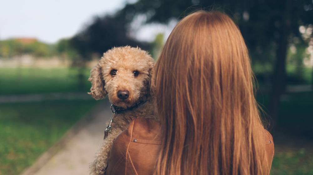 Por qué algunas mujeres quieren tener sexo con animales