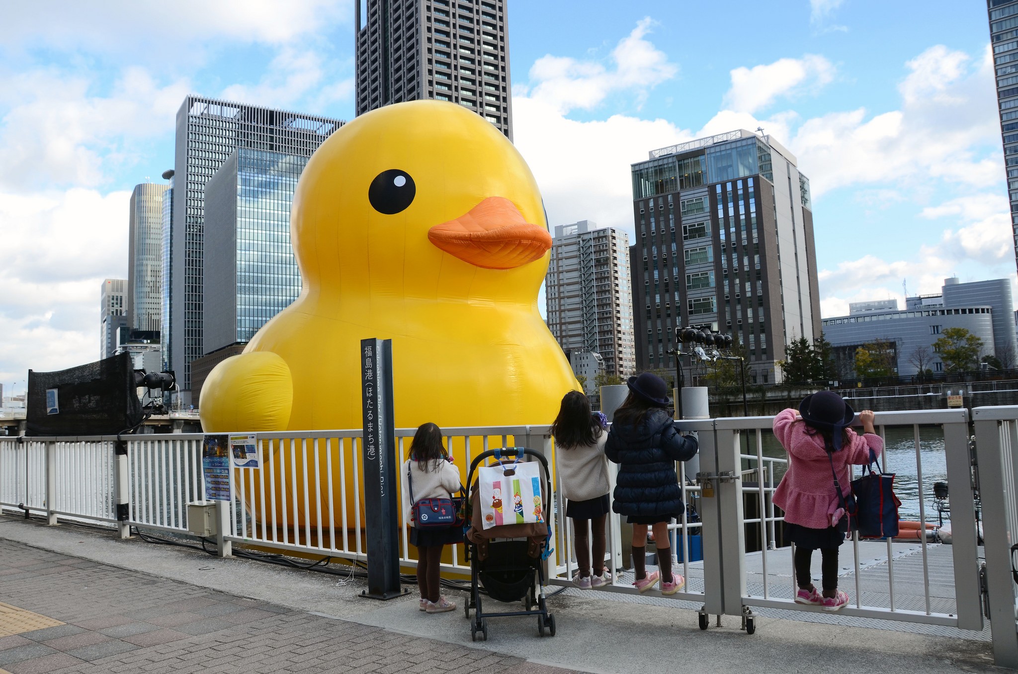 Ontario Giant Rubber Duck Is Counterfeit, Says Artist Who Created