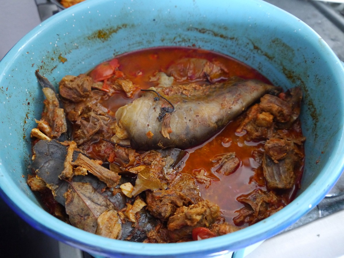 Comí guiso de tortuga marina y es extraordinario