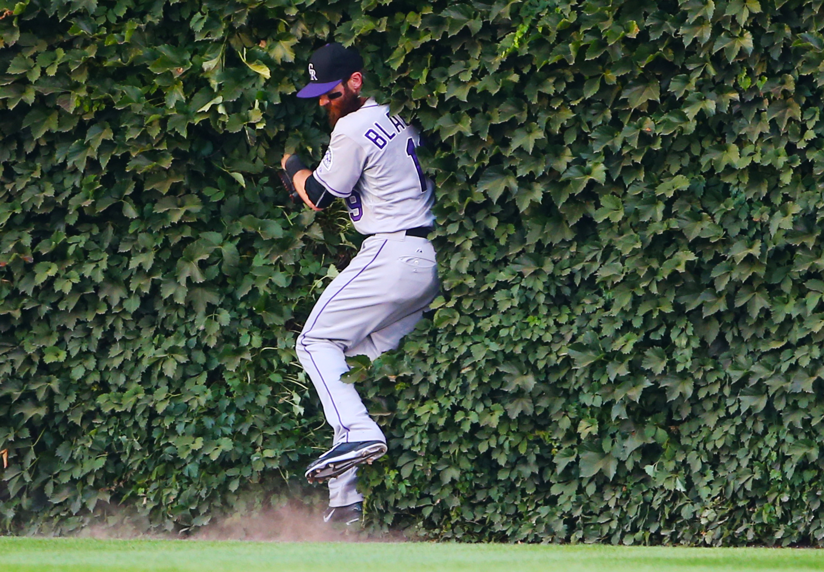 Cubs selling Wrigley Field ivy leaves from 2016 season for $200 - Sports  Illustrated