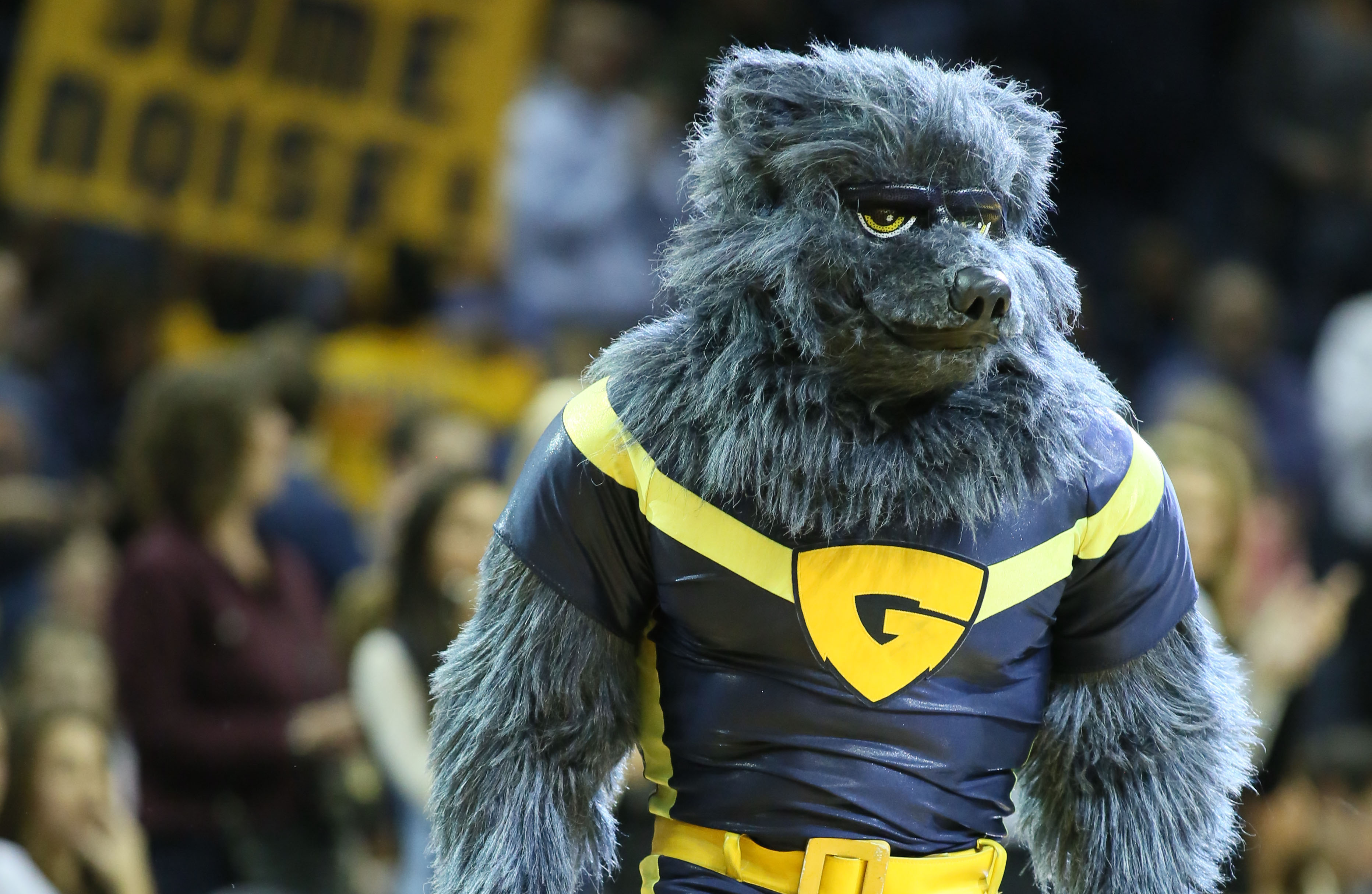 Memphis Grizzlies mascot Grizz through the years