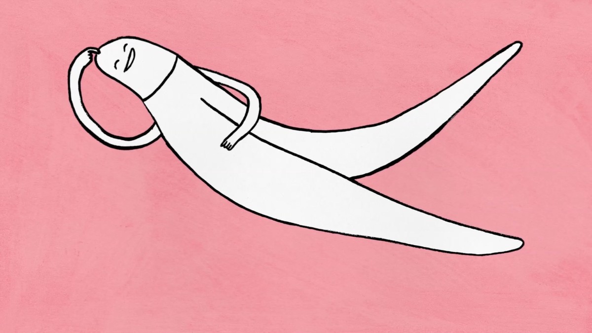 Questa Animazione Semplicissima Spiega La Storia E Lanatomia Del Clitoride