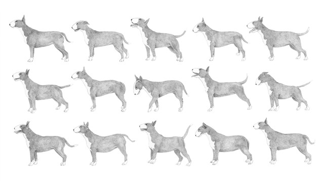 Le Jour Où Jai Mis Mon Chien Sous Prozac Vice