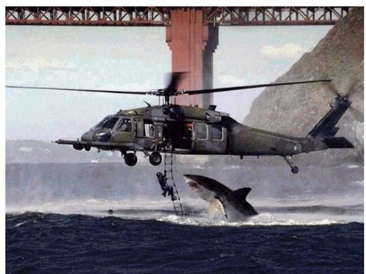Is This Photo Real or Fake?