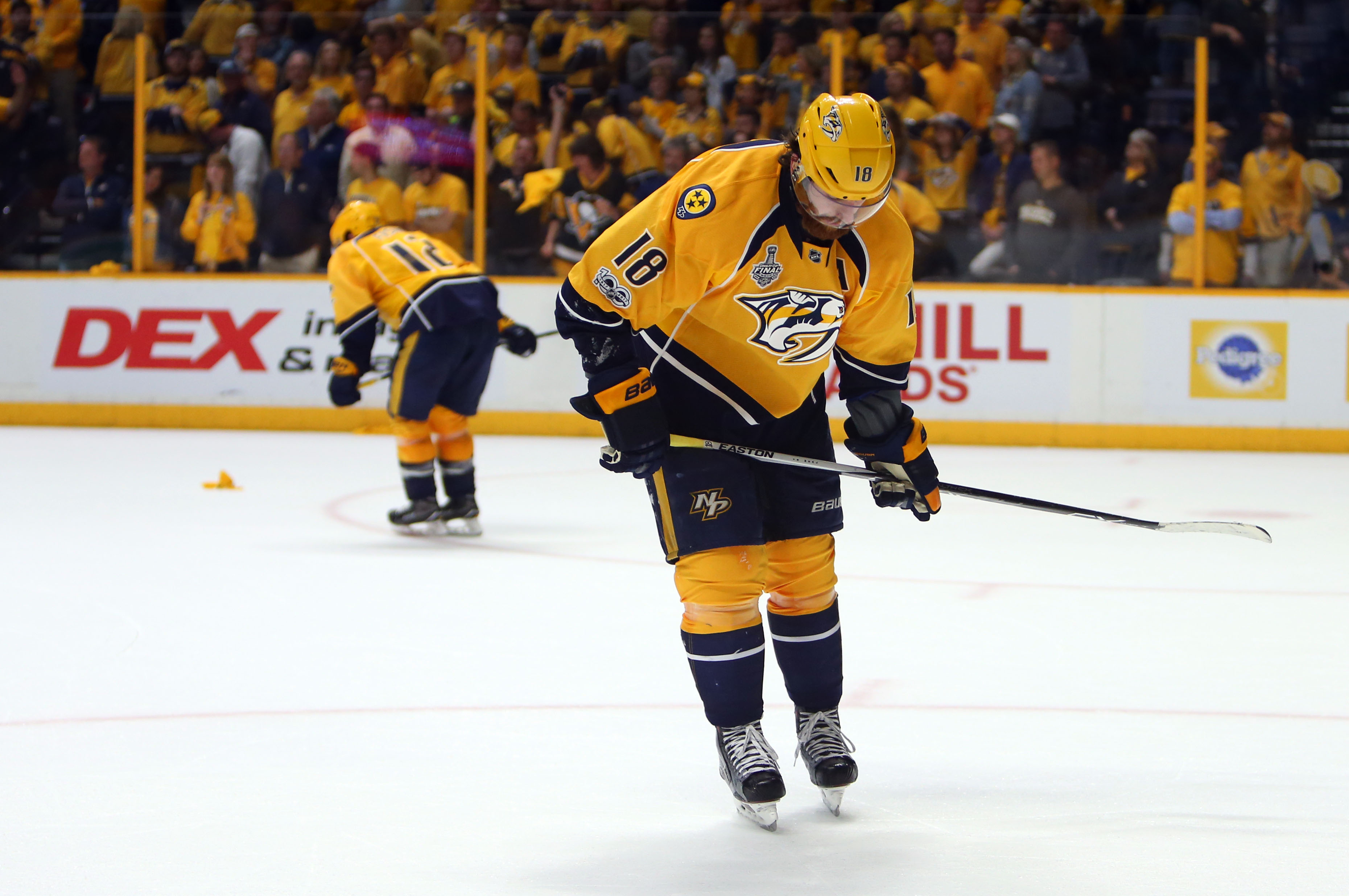 Predators fan checks Twitter for first time in months, finds out he won  Stanley Cup Final tickets