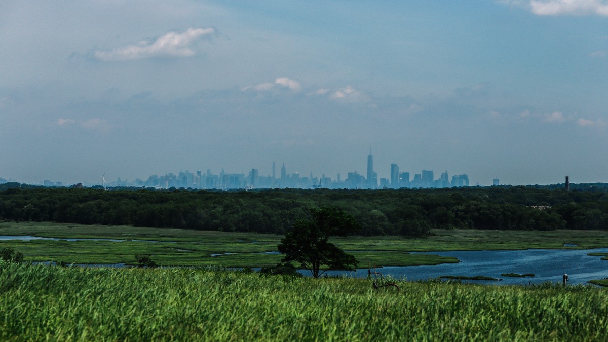 How Staten Island is Turning a Massive Pile of Garbage into a Park